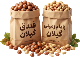 خشکبار گیلان
