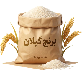 برنج گیلان